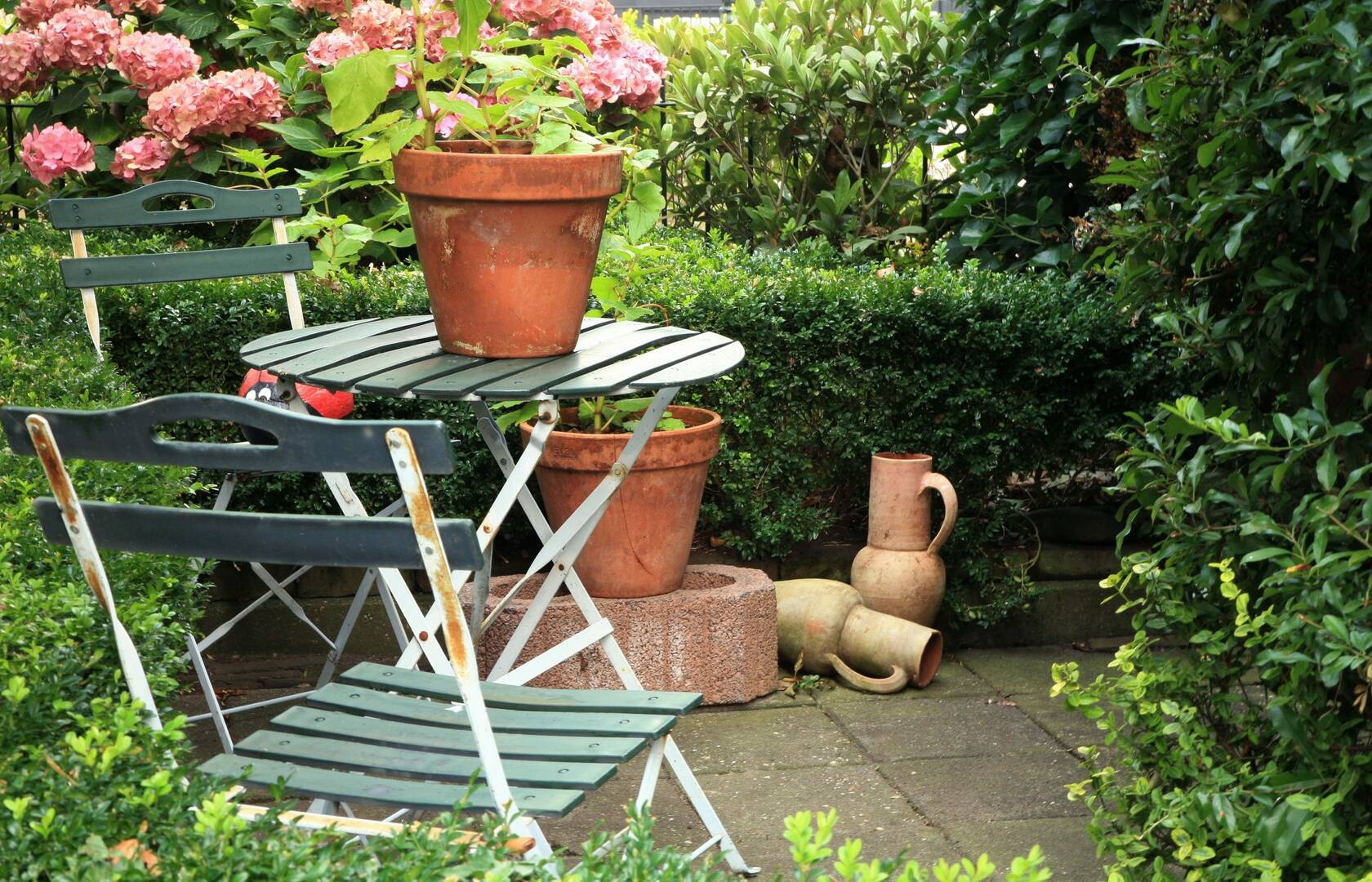 Pest Control Newport OR – pest control services